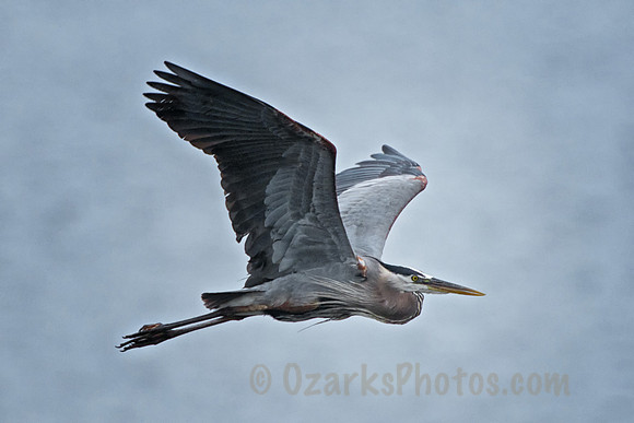 Power in Flight