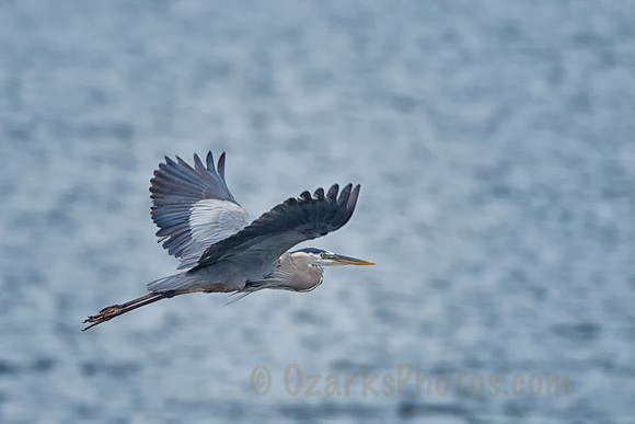 Smooth Flight