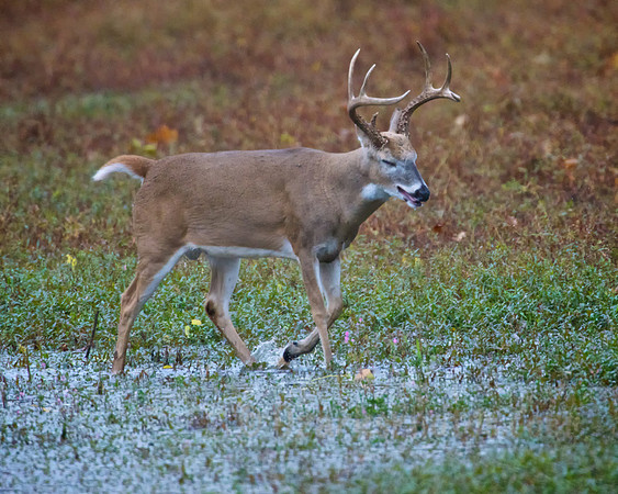 I Wish it would quit Raining