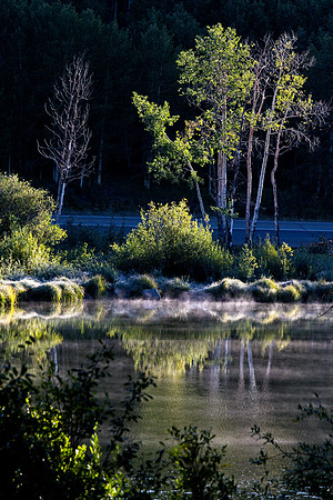 Frosty Morning on Grand Mesa